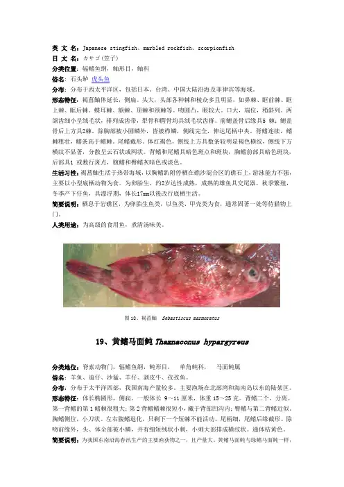 海洋生物认知大全_4