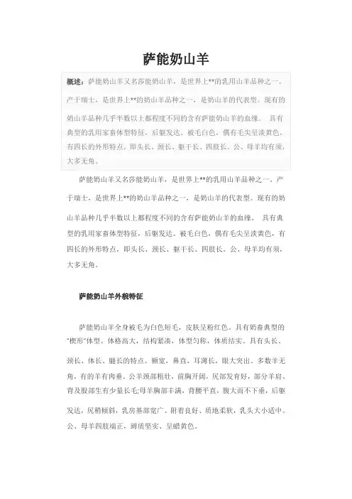 萨能奶山羊