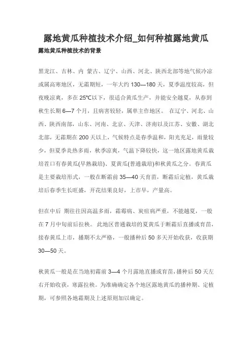 露地黄瓜种植技术介绍