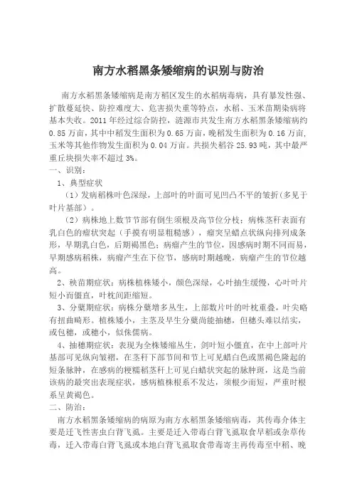 南方水稻黑条矮缩病的识别与防治