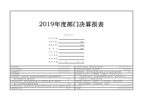 2019年度部门决算报表