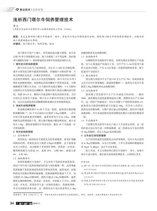 浅析西门塔尔牛饲养管理技术