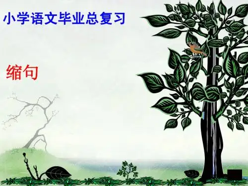 缩句复习课件