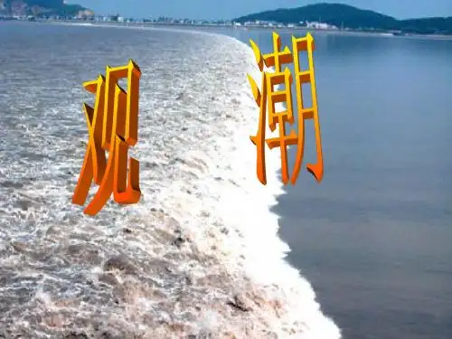 观潮