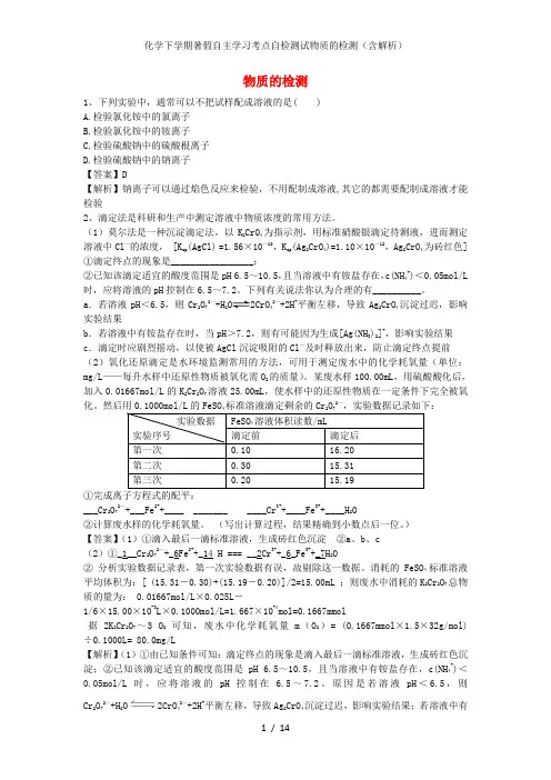 化学下学期暑假自主学习考点自检测试物质的检测(含解析)