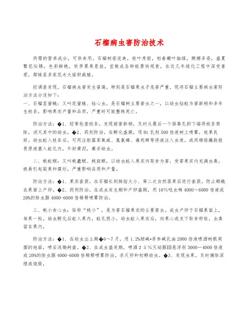 石榴病虫害防治技术