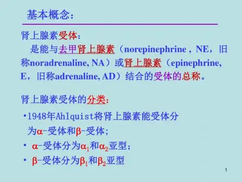 最新10第十二章作用于肾上腺素能受体的药物杜-精选PPT文档