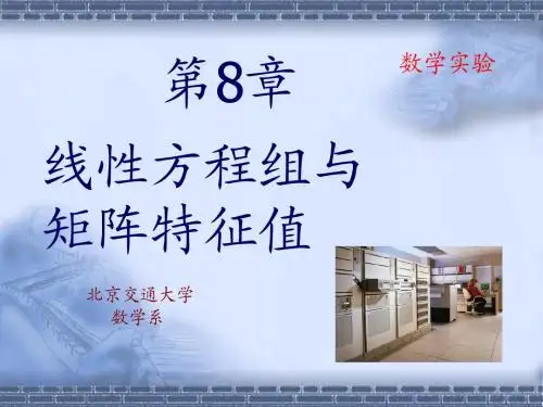 数学实验(8)