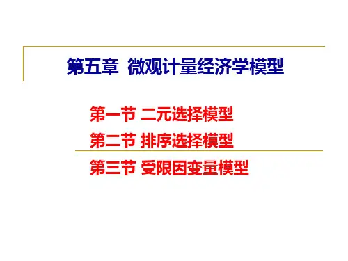 18 微观计量经济学模型