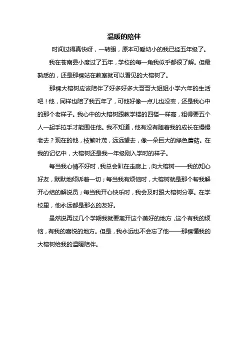 五年级作文：温暖的陪伴作文400字