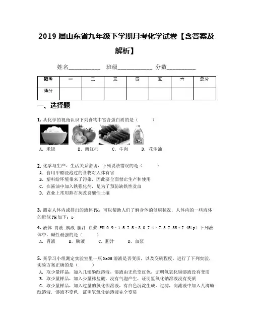 2019届山东省九年级下学期月考化学试卷【含答案及解析】