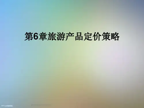 第6章旅游产品定价策略