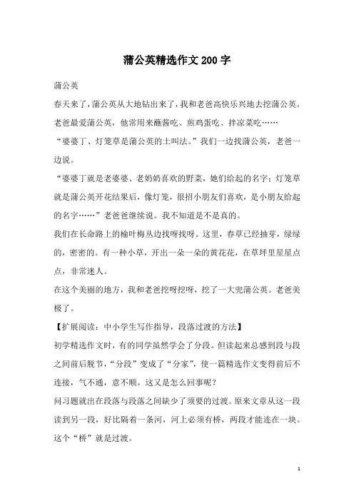 蒲公英精选作文200字_1