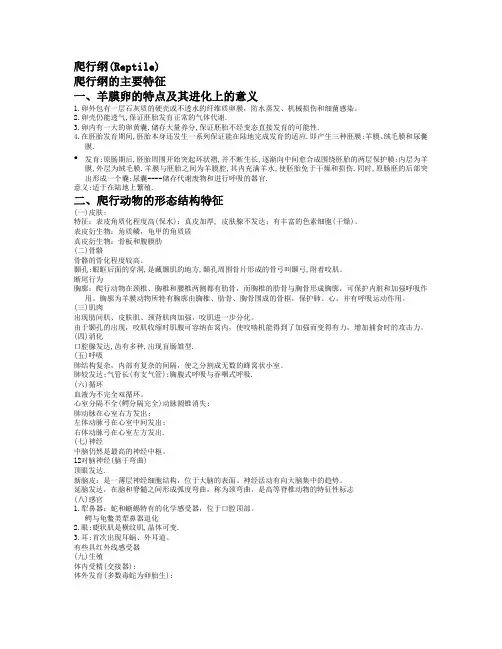 爬行纲 3