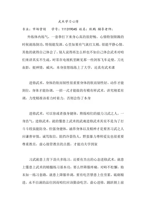 武术学习心得