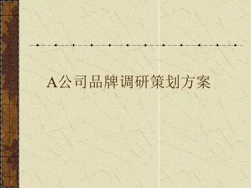 A公司品牌调研策划方案(精)
