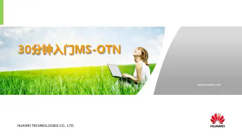 分钟入门MS OTN V 