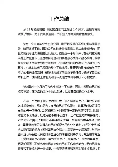 2012IT行业员工试用期工作总结