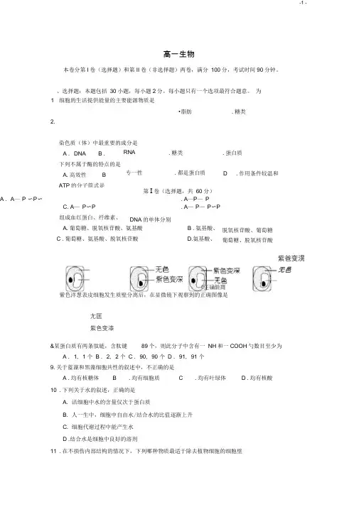 江苏省高邮中学高一生物上学期期中试题