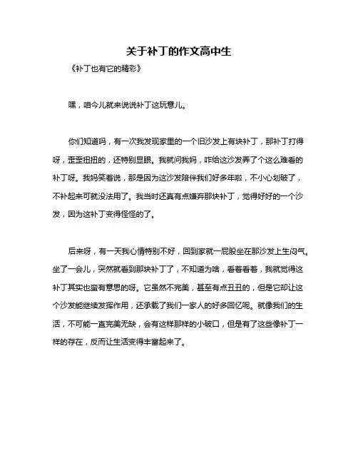 关于补丁的作文高中生
