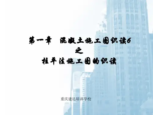 第一章混凝土施工图识读6之柱平法施工图的识读ppt课件