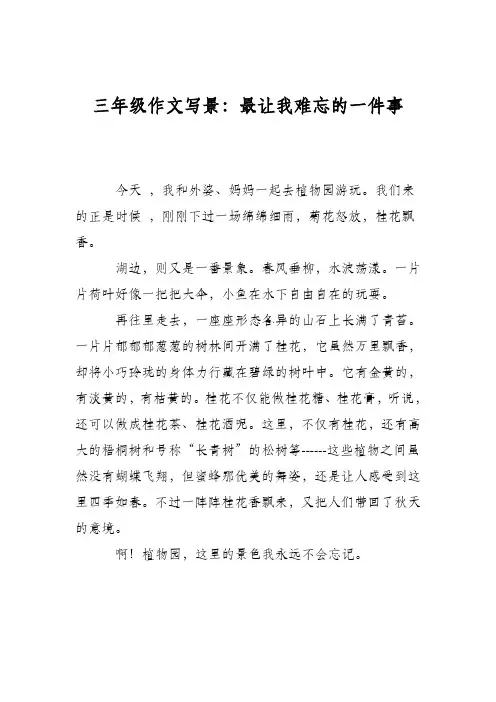 三年级作文写景：最让我难忘的一件事