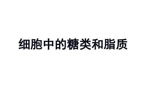 【2.4细胞的糖类和脂质】