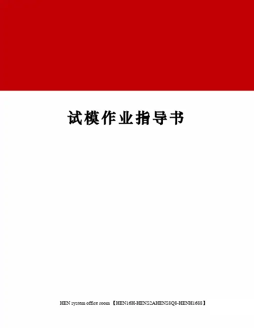 试模作业指导书完整版