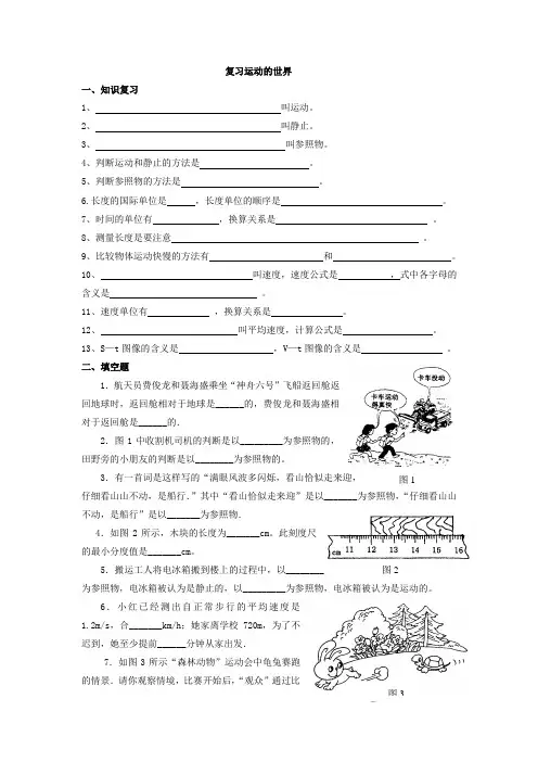 初中物理精品复习运动的世界