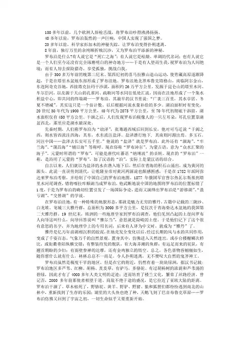 罗布泊 3