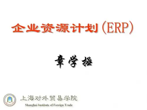 企业资源计划(ERP)