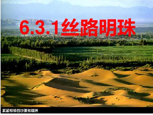 6.3.1丝路明珠
