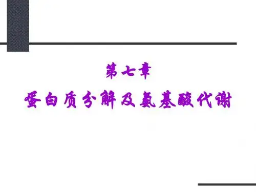 蛋白质分解及氨基酸代谢