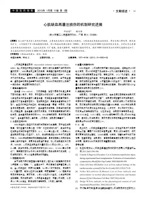 心肌缺血再灌注损伤的机制研究进展