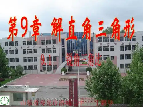 青岛版八下9.1《锐角三角比》PPT课件用