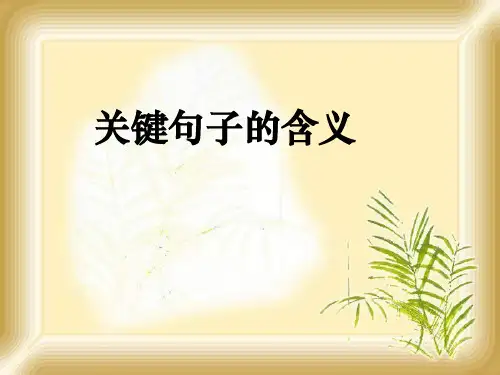 重要句子的含义