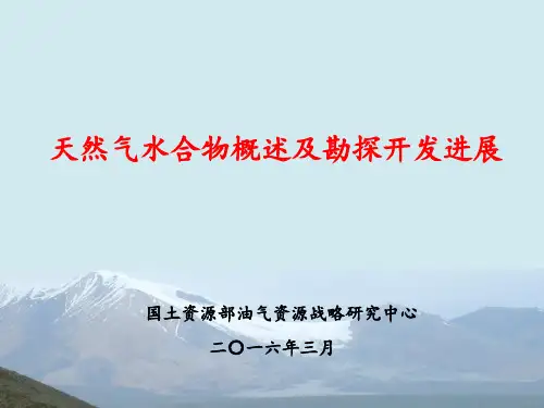 天然气水合物 ppt课件