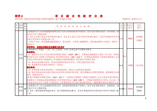 项目综合考核评分范本