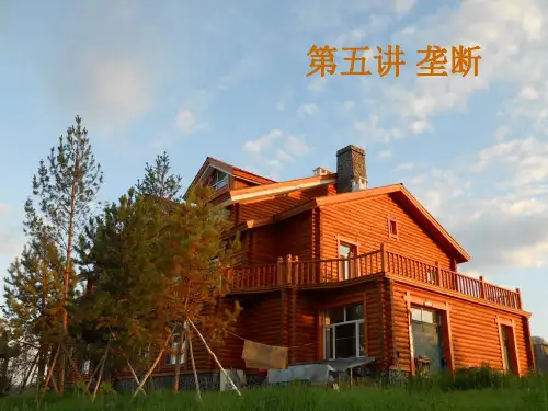 微观经济学(下)