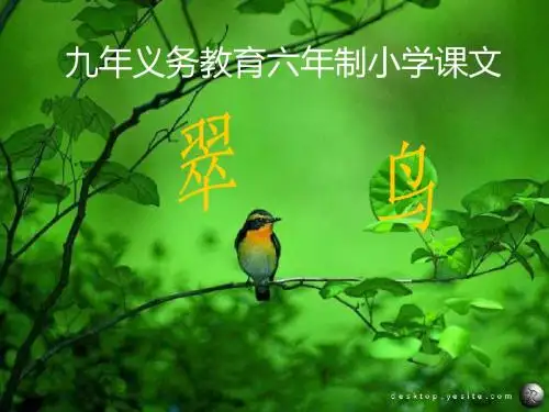 语文人教版三年级下册5、翠鸟