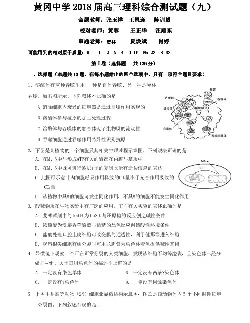 黄冈中学2018届高三理科综合测试题(九)