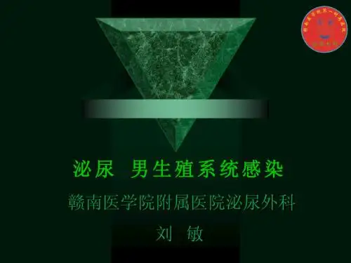 泌尿、男生殖系统感染