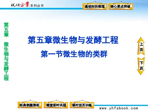 第五章第一节微生物的类群