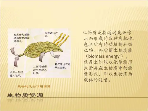 生物质能