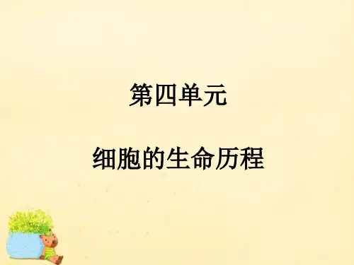 2020届高考生物一轮复习 第四单元 细胞的生命历程课件