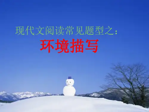 阅读理解环境描写专题