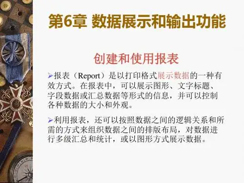 数据展示与输出功能-精选文档