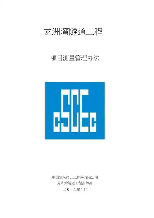 项目测量管理办法
