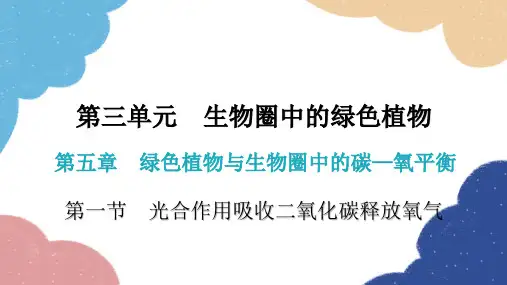 人教版生物七年级上册3.5.1光合作用吸收二氧化碳释放氧气课件(共31张PPT)