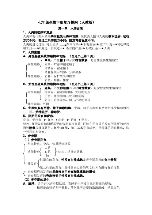 七年级生物下册复习提纲人教版